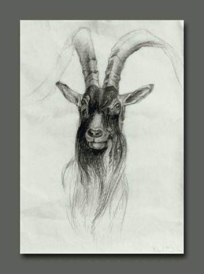 Elena Okleva - Capricorn