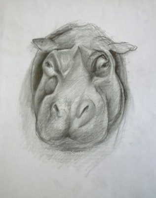 Elena Okleva - hippopotamus